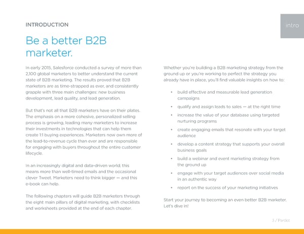 Salesforce: The Complete Guide to B2B Marketing - Page 3