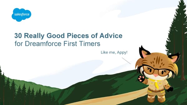 30 Really Good Pieces of Advice for Dreamforce First Timers - Page 1