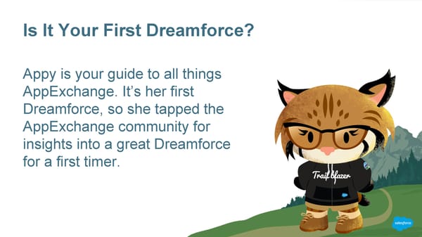 30 Really Good Pieces of Advice for Dreamforce First Timers - Page 2