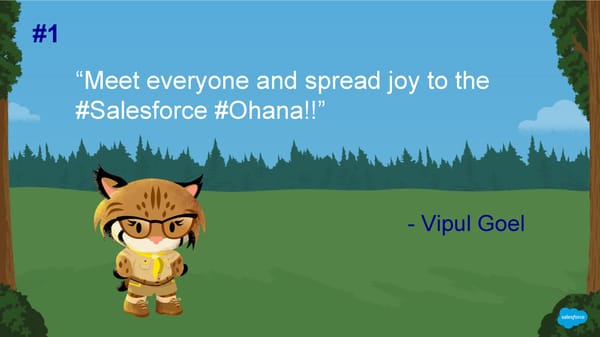 30 Really Good Pieces of Advice for Dreamforce First Timers - Page 4