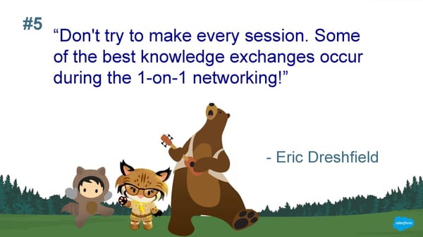 30 Really Good Pieces of Advice for Dreamforce First Timers - Page 8