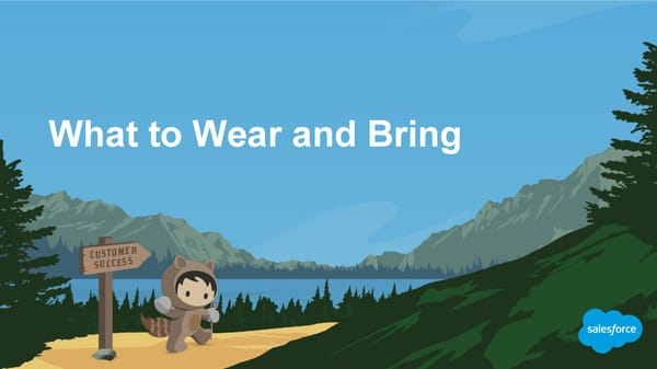 30 Really Good Pieces of Advice for Dreamforce First Timers - Page 13