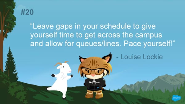 30 Really Good Pieces of Advice for Dreamforce First Timers - Page 25