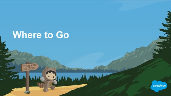 30 Really Good Pieces of Advice for Dreamforce First Timers - Page 29