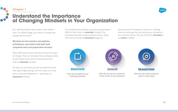 Customer 360 Playbook - Page 6