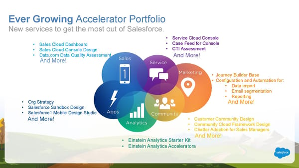 Accelerate to Success with Salesforce Accelerators - Page 8