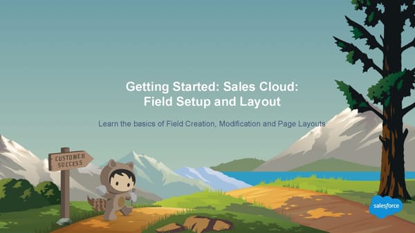 Accelerate to Success with Salesforce Accelerators - Page 14